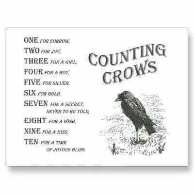 poem on crows
